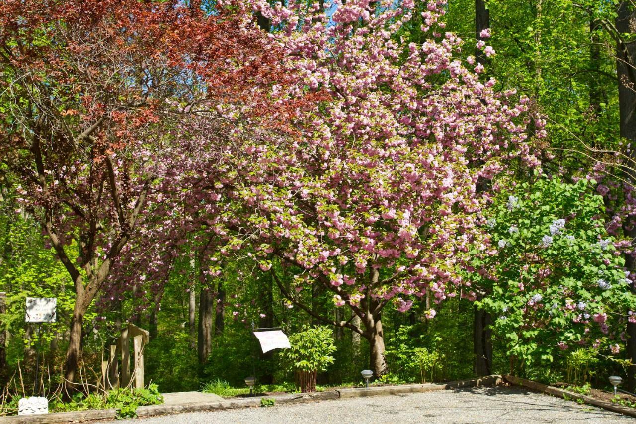 Pilgrim'S Rest Bed And Breakfast Philadelphia Dış mekan fotoğraf